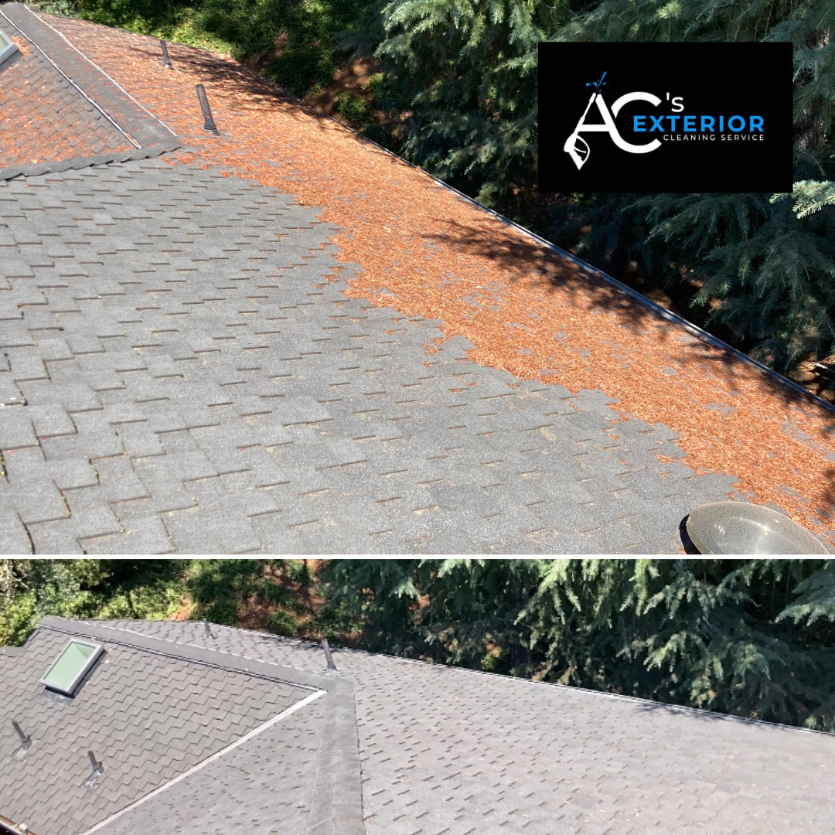 Roof cleaning morgan hill ca