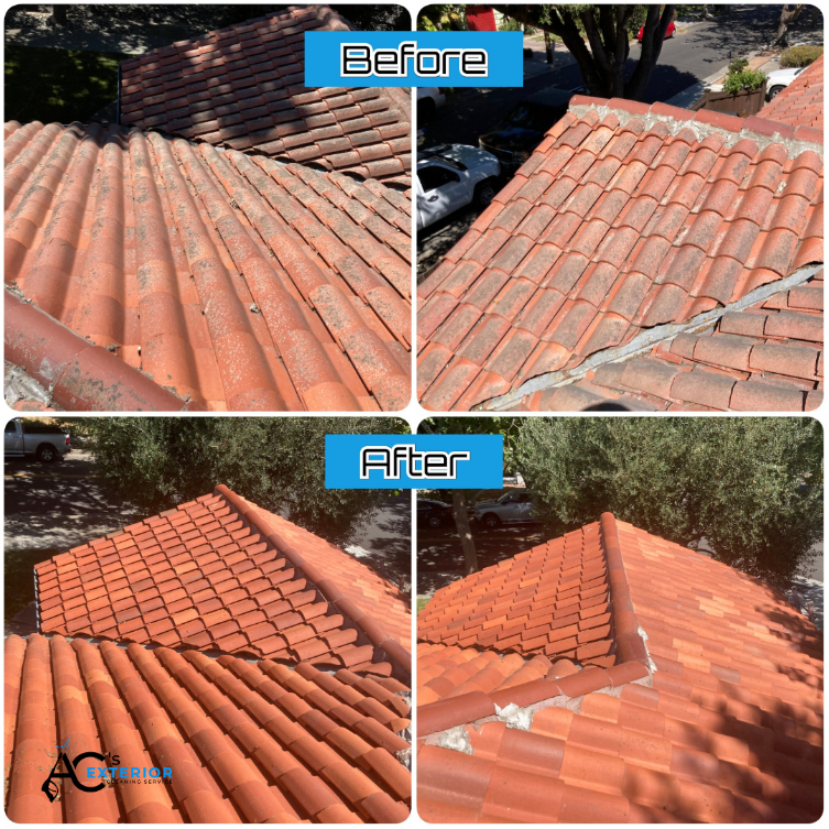 Roof cleaning san jose
