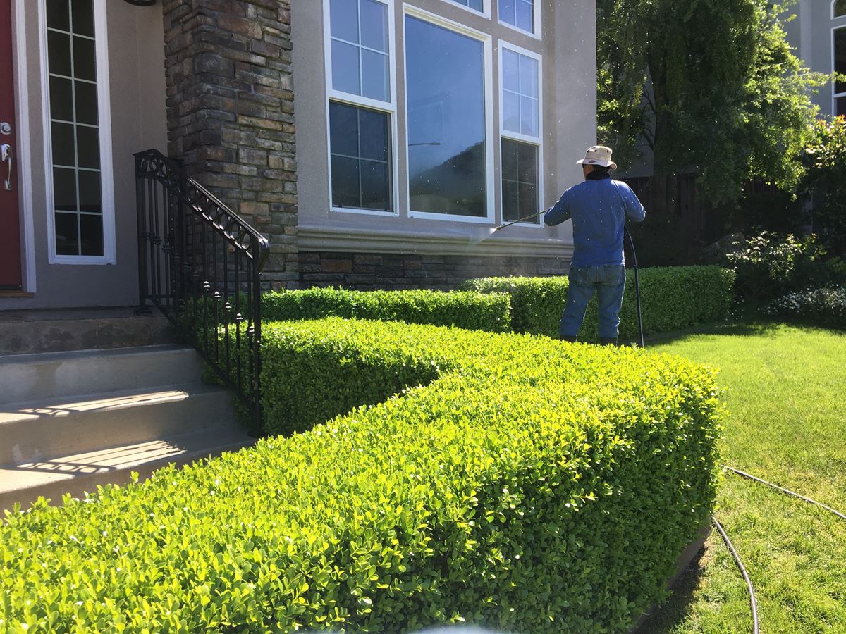 Complete Surface Cleaning and Exterior House Washing in Morgan Hill, CA Image