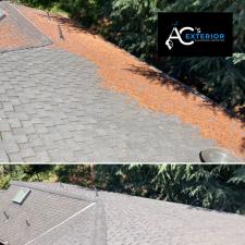 Roof Cleaning in Morgan Hill, CA Thumbnail