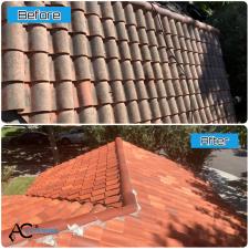 Roof cleaning san jose 2