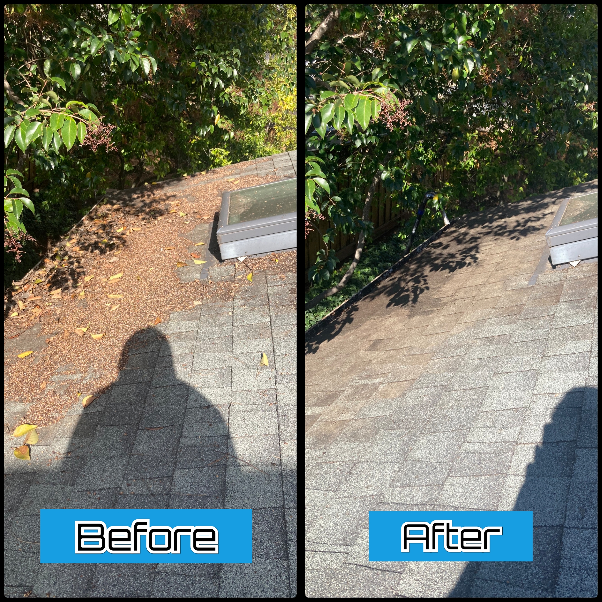 Gutter Cleaning and Roof Cleaning Services in Gilroy, CA